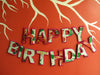 Happy Birthday Banner - Birthday Photo Prop