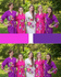Purple and Fuchsia Wedding Colors Bridesmaids Robes|Purple and Fuchsia Wedding Colors Bridesmaids Robes|Purple and Fuchsia Wedding Colors Bridesmaids Robes